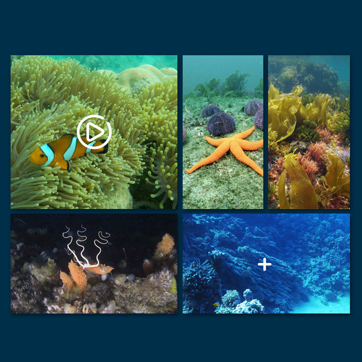Underwater Camera Drone